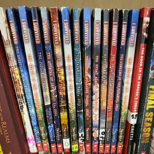 I Survived Book Series for Kids